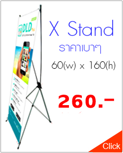 X Stand